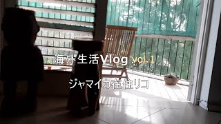 海外生活Vlog Vol.1 好きな国に住む | ジャマイカに住む8つの魅力 | わたしの絵をご紹介します