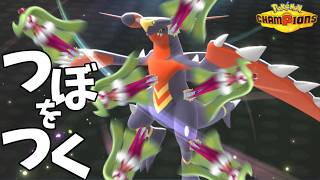 メガガブリアスZのつぼを突いて最強にするロマン作戦！【ポケモンチャンピオンズ】【ダブルバトル】【元328993位】