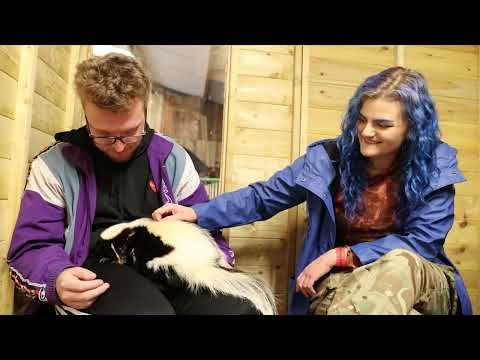 Get Up Close with Animals in a Junior Zookeeper Experience for Two at Hoo Zoo and Dinosaur World (Up to 61% Off) - Second Medium