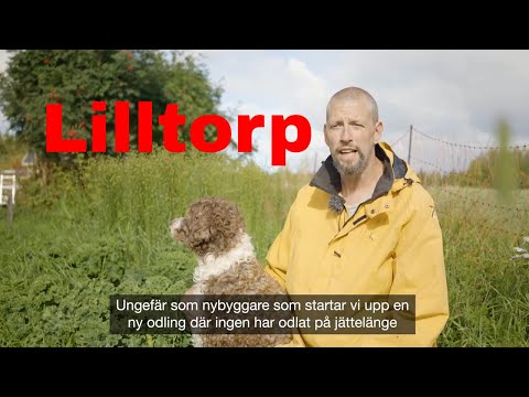 lilltorp.nu