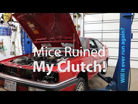 Audi Coupe first start in over a year.