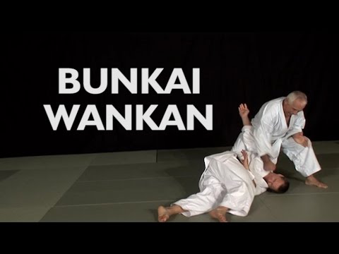 Karaté bunkai : Wankan practical application