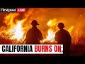 California Fires LIVE: Strong Winds Intensify San Diego Blaze;Trump to Visit Fire-ravaged LA