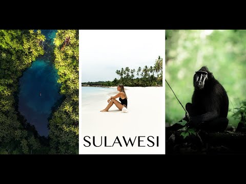 SULAWESI: TRAVELGUIDE - ALLES WAS DU WISSEN MUSST: Anreise, Reiseroute, Geheimtipps I TRAVELVLOG