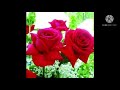 Old Songs In A New Voice Md Dipu Khan