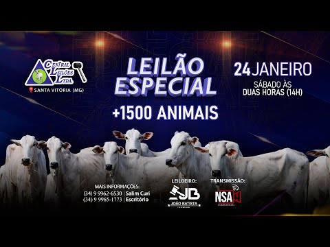 🌾  Leilão Especial Carga Fechada  - Central Leilões - Santa Vitória (MG) - 24 de JANEIRO