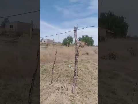 Sector Familias Unidas - Picún Leufú - Neuquén