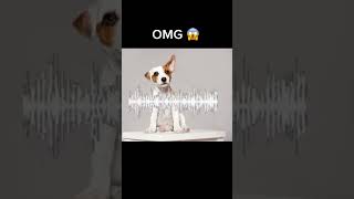 This is insane🤯 Only dogs will hear this sound!!!