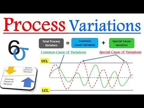What is Six Sigma Process Variation | Common Cause Vs Special Cause of Variation Video