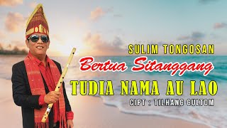 Download lagu TUDIA NAMA AU LAO BERTUA SITANGGANG SULIM TONGOSAN mp3