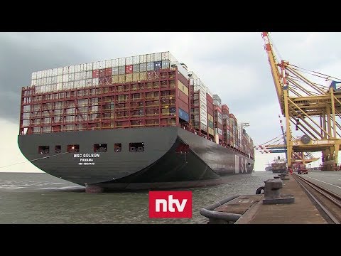 "MSC Gülsün" bringt Deutschlands Häfen an ihre Grenzen | n-tv