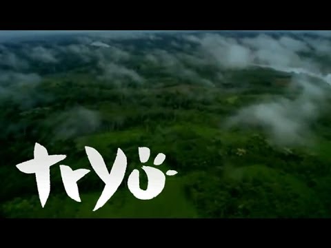Tryo — L'Hymne De Nos Campagnes