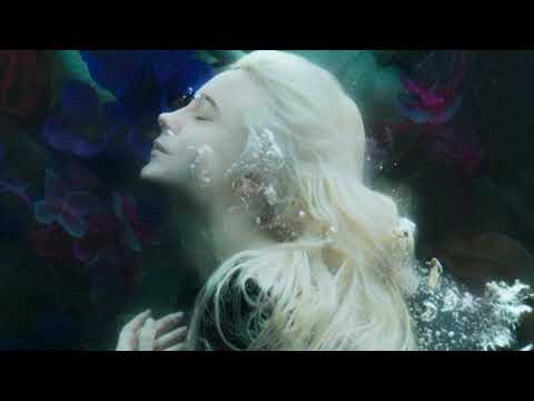 ΔLLICØRN ➖ fled the ѕ¢єиє