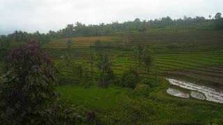 Download lagu Yen Rustam - Bareh Solok Lagu Minang mp3 Download lagu Yen Rustam - Bareh Solok Lagu Minang mp3