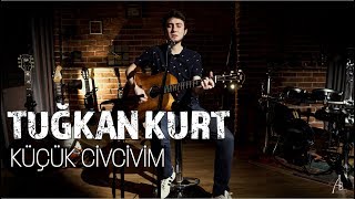 Tuğkan  - Küçük Civcivim