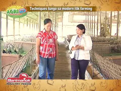 Video ng katawan kapag ito loses timbang Ang pagiging epektibo ng Pilates para sa pagbaba ng timbang