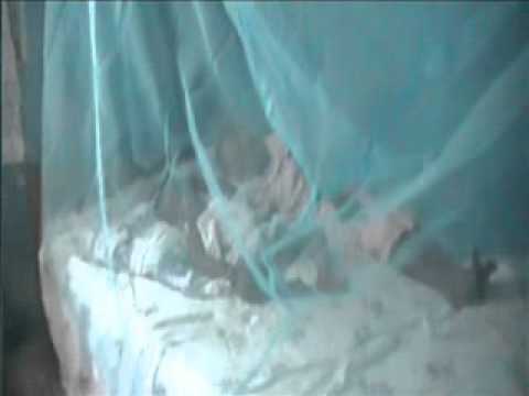 Save 1000 Children At Risk From Malaria