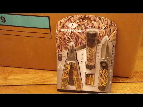 Lets go camping, it'll be fun they said!