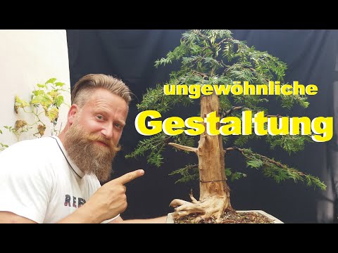 meine ungewöhnlichste Gestaltung