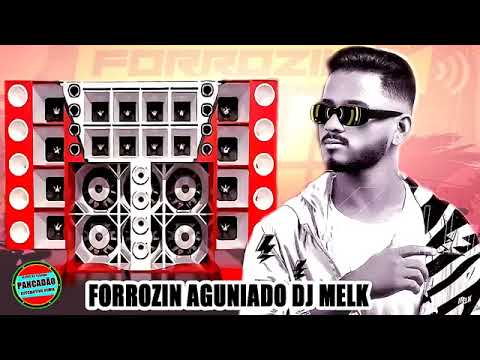 FORROZIN AGUNIADO DJ MELK PRA PAREDÃO CD OUTUBRO 2022 CD NOVO