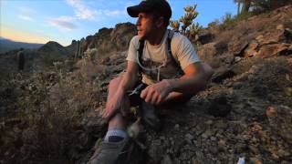 CHOLLA CACTUS ATTACK