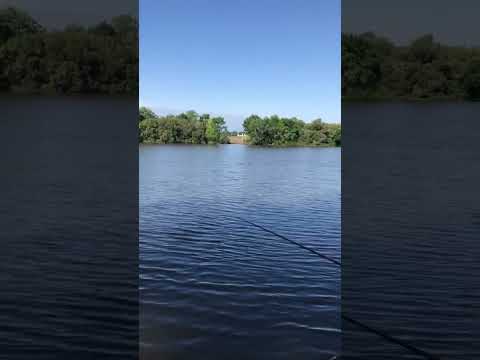 Rincón de Buschental