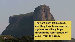 Peace For the Troubled Heart Chapter 4 Part 1