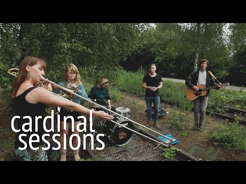 Lingby - Like A Stone - CARDINAL SESSIONS (Traumzeit Festival Special)