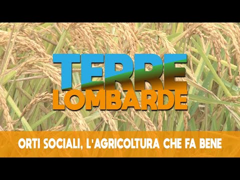 Terre Lombarde - Orti Sociali, l'agricoltura che fa bene