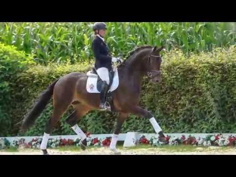 43 Rossini  Wallach v. Rubinio NRW -  Florestan I