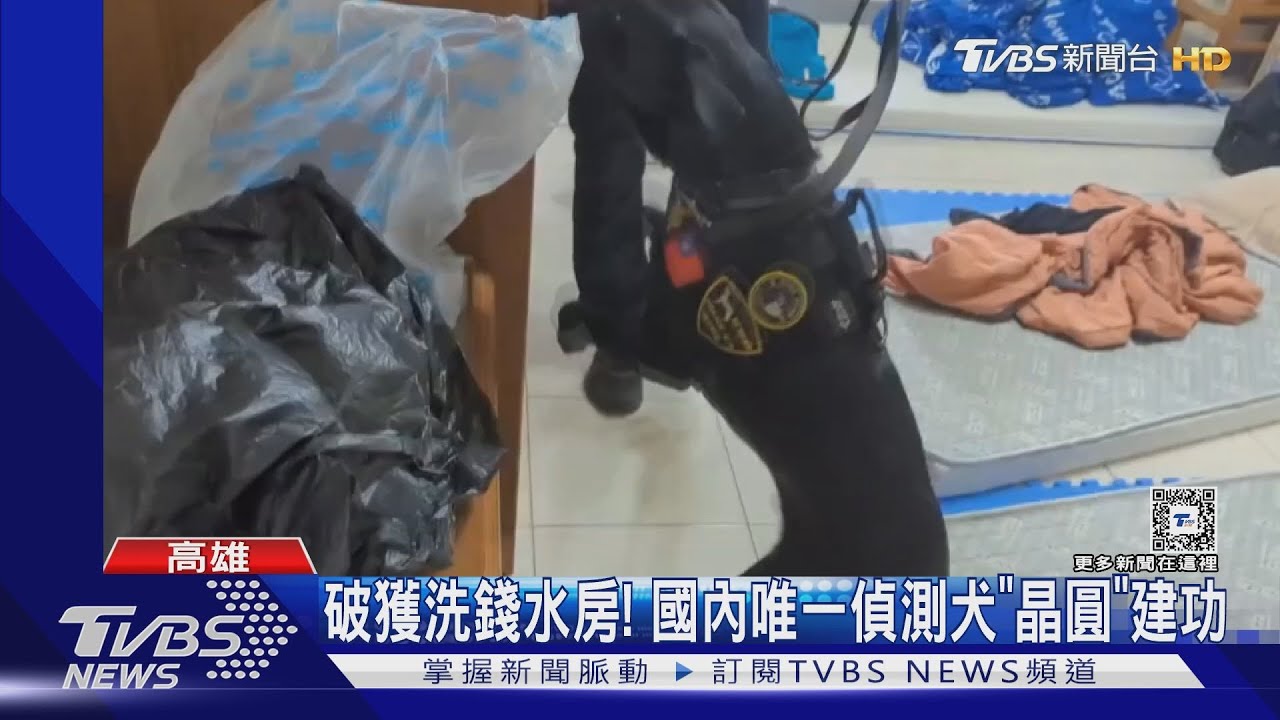 破獲賭博網站洗錢水房!國內唯一電子偵測犬「晶圓」建功