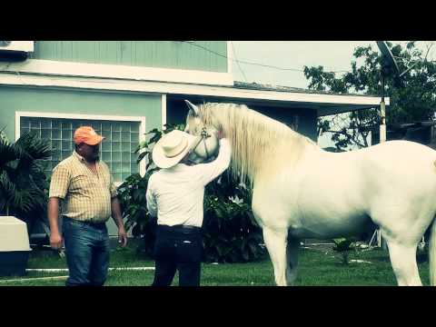 la ford 250 el roble copaneco hd video Original