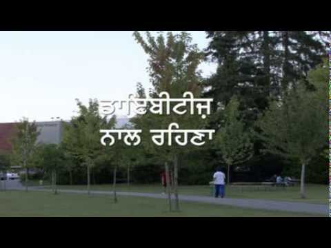 Dr. Ragnar Khanas Typ-1-Diabetes kaufen Das beste Instrument für die Blutzuckermessung