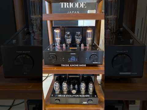 Triode Japan — When craftsmanship meets pure sound