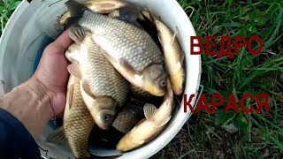 Платные пруды в москве для рыбалки