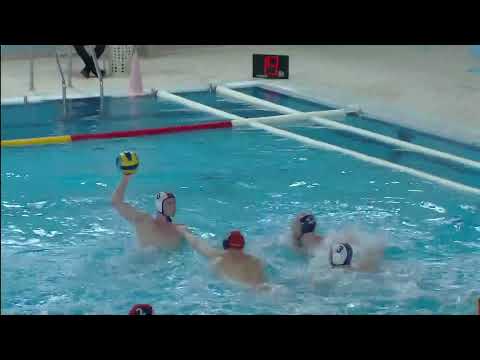 Steaua Bucarest vs Crvena Zvezda - Highlights - Champion's League 2021/2022 Day 6