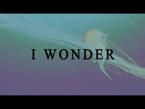 Avani Shepherd -  I Wonder (Lyrics Video)