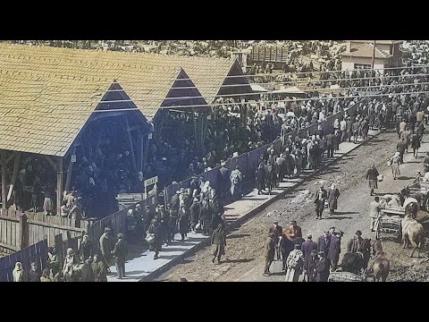 Stari pijac u novom izdanju