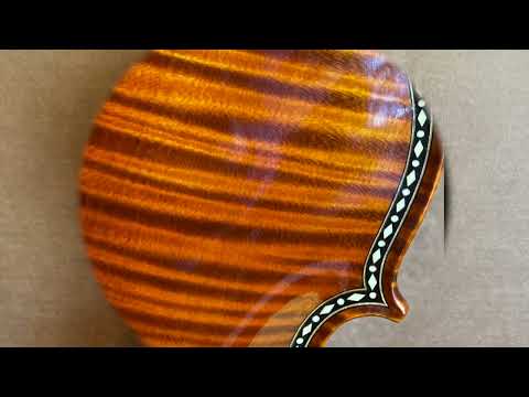 Replica of Stradivari Cipriani Potter Violin - Handmade in Romania by Gliga Vasile -