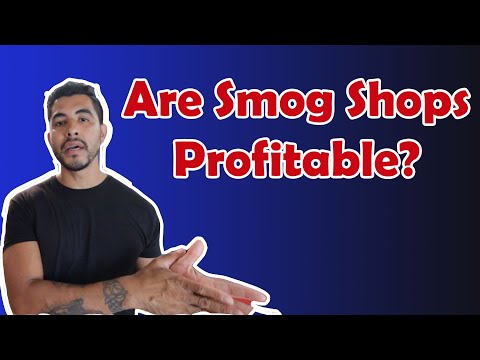 Do Smog Shops Make Money