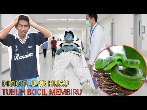KASIHAN BOCIL😭BADANNYA MEMBIRU GARA GARA DIGIG1T UL4R BERBIS4??ARIK PANIK | Mikael TubeHD