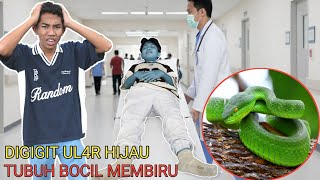 Download lagu KASIHAN BOCIL😭BADANNYA MEMBIRU GARA GARA DIGIG1T UL4R BERBIS4??ARIK PANIK | Mikael TubeHD mp3