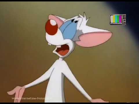 Pinkis ir Makaulé - Brodvėjaus susirgimų (Lithuanian, TV1 airing)