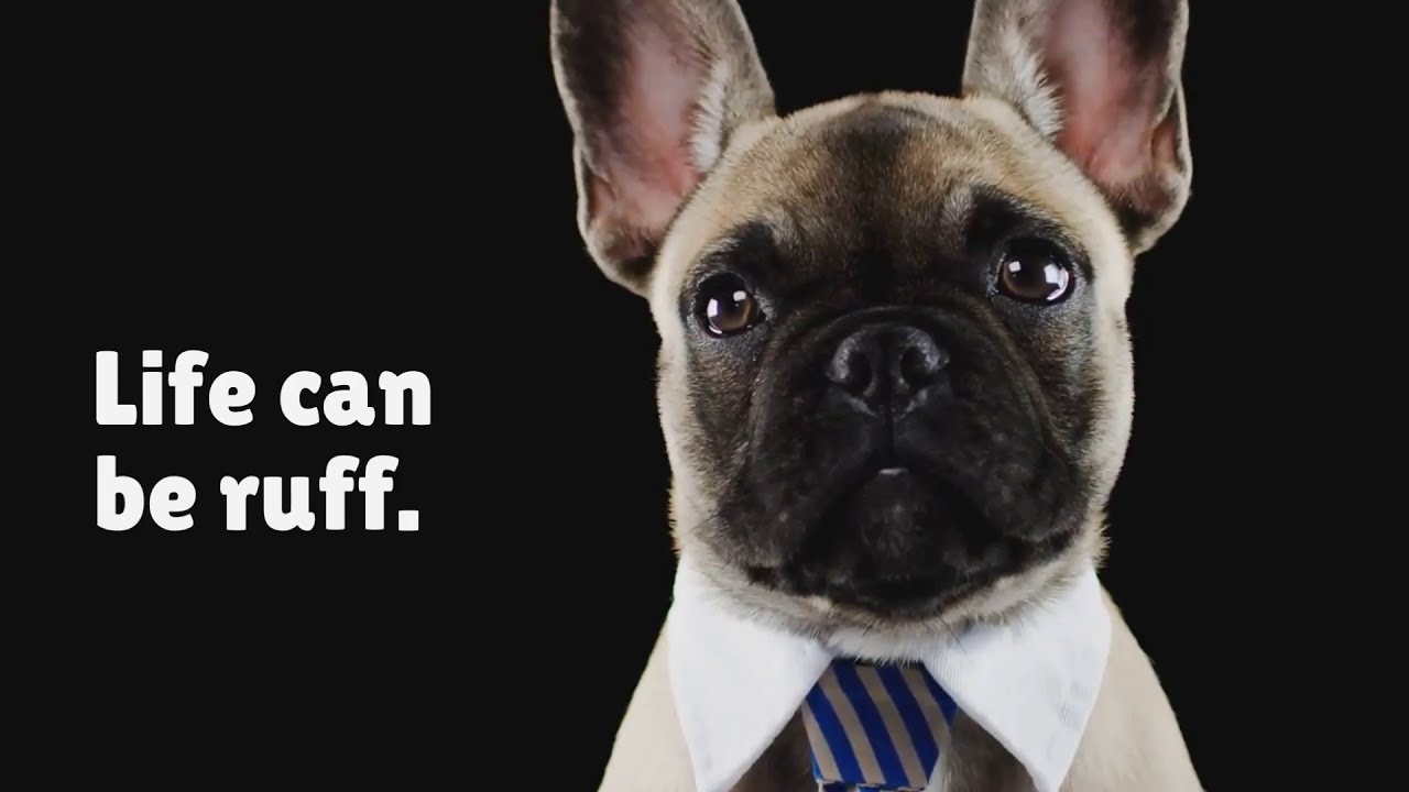 Company video CHOICE OF LIFE COUNSELING LLC