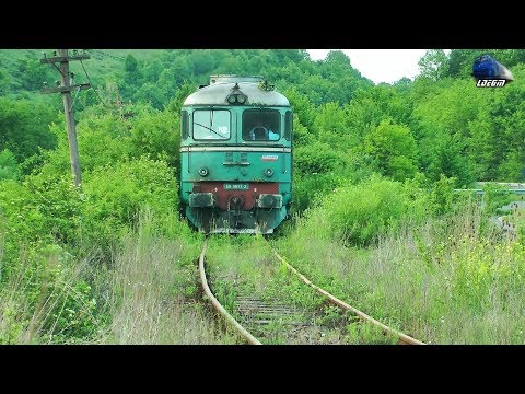Fluieroasa 60-0897-3 Whistle Loko & Marfar CFR MARFA Freight Train in Defileul Crișului Negru Canyon