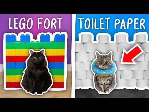I Built 10 Incredible Cat Forts!