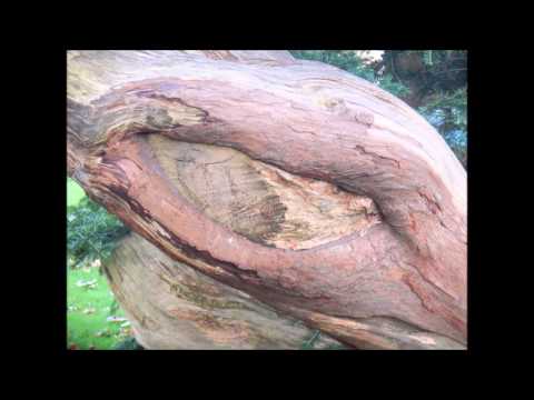 Groundation - One More Day