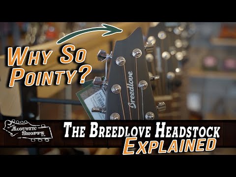 Breedlove Guitars Headstock Design Explained