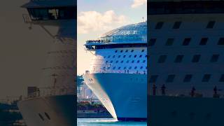 Symphony of the Seas 🛳️ #like #share #comment #subscribe #cruiseship #cruise #vacation #shorts #yt