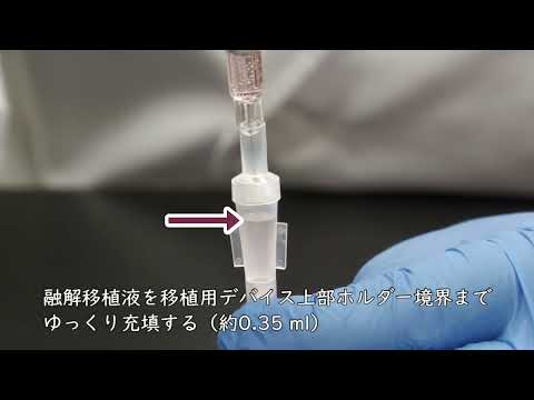 獣医学科 牛ガラス化胚の新規移植法開発・実用化事業（③ガラス化胚の融解方法）